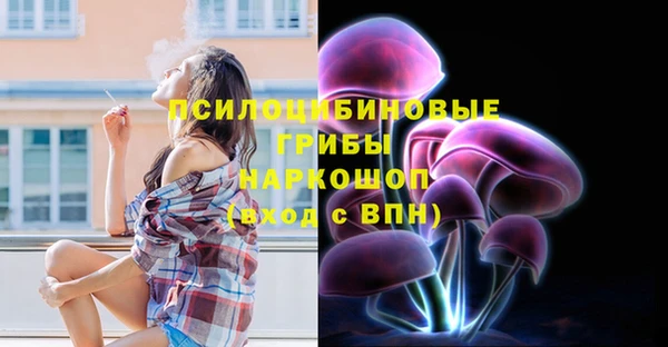 a pvp Вязьма