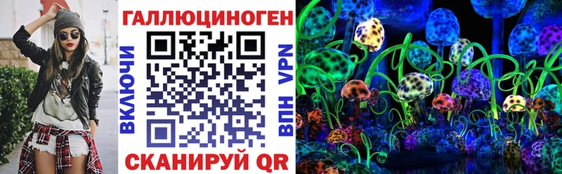 купить  цена  Яхрома  Псилоцибиновые грибы Cubensis 